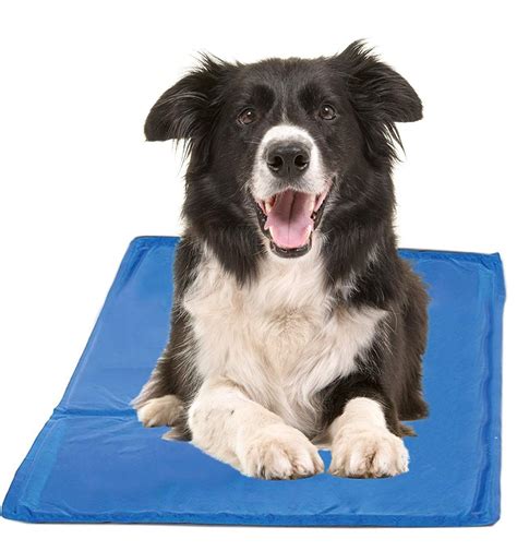 6 Of The Best Dog Cooling Pads And Mats