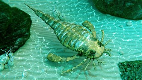 Discover The Ancient Sea Scorpion With A Deadly Spiked Tail Az Animals