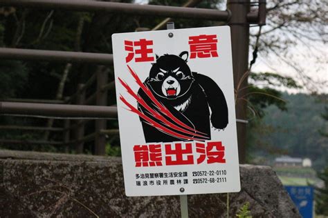 日本新潟發生熊殺人 首度發布「熊出沒」警報