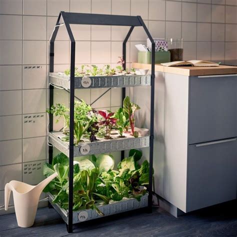 19 Easy Indoor Herb Garden Ideas To Add To Your Kitchen For Year Round