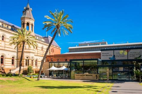 Transforming The South Australian Museum The Adelaide Review
