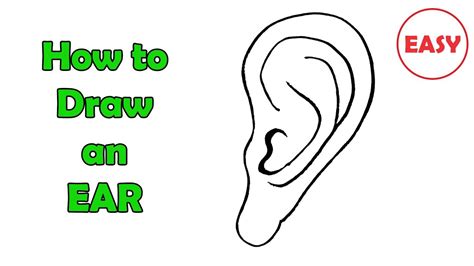 How To Draw An Ear Very Easy For Kids Youtube