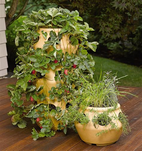 Stackable Strawberry And Herb Planters
