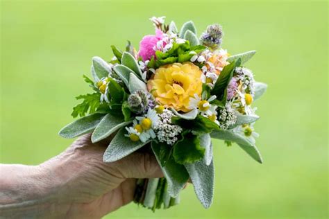 Check spelling or type a new query. 23 Different Types of Bouquets and Flower Arrangements