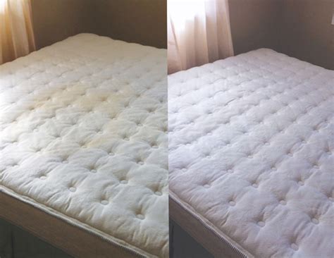 Once dry, soak the area using white vinegar. How to remove urine stains out of mattress ...