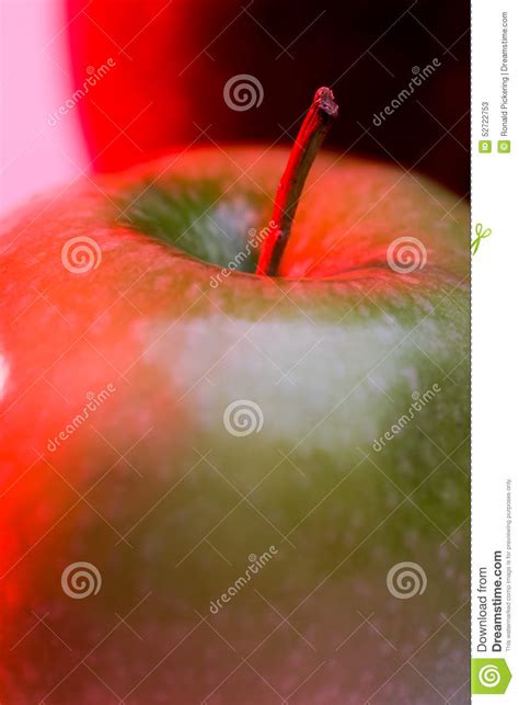 Backlighing Stock Photos Free And Royalty Free Stock Photos From Dreamstime