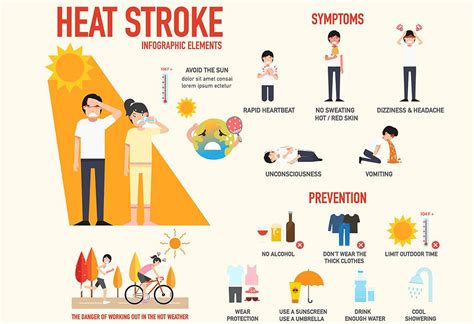 Heatstroke Infographic Poster Heat Stroke Symptoms And Prevention Sexiezpicz Web Porn
