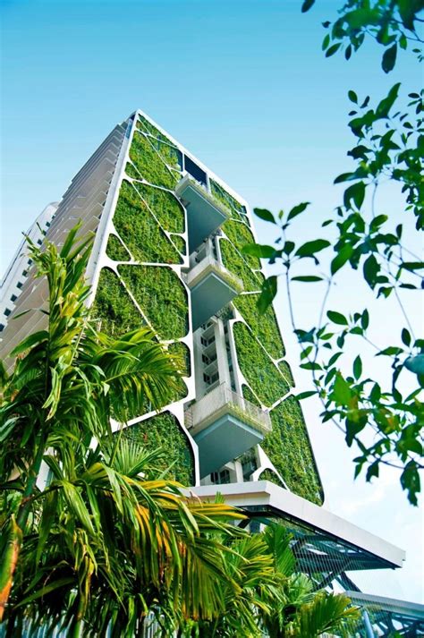 Arquitectura sustentable Bioconstruccion casas ecológicas y edificios