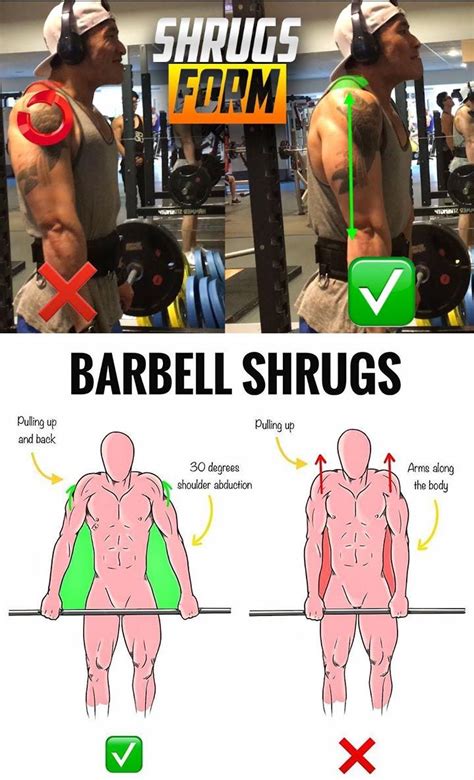 Barbell Shrugs Form Shrugs Workout Barbell Shoulder Workout
