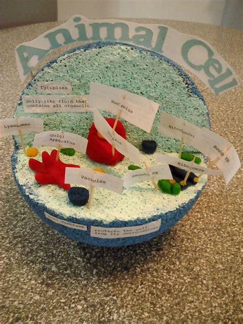 Is there a science project in your future? Animal Cell Model created with a Styrofoam ball and clay ...