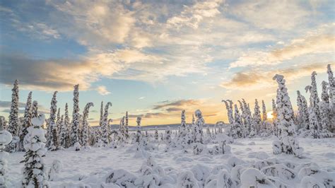 Laponie Suédoise climat Conditions de neige Quand partir