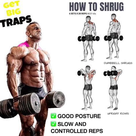 How To Do Dumbbell Shrug Proper Form Technique Video Guide