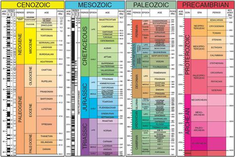 Geological Timeline Timeline Timetoast Timelines