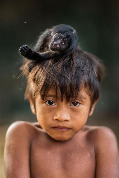 子ザルとアマゾン先住民 母ザルの狩りから始まる絆の物語 ナショナル ジオグラフィック日本版サイト