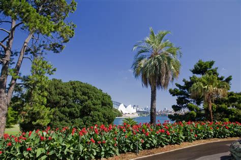 The Royal Botanic Garden Sydney Mgnsw
