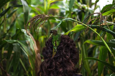 It is 75% lexically similar to paraguayan guaraní. Os Guarani Mbyá - danilochristidis