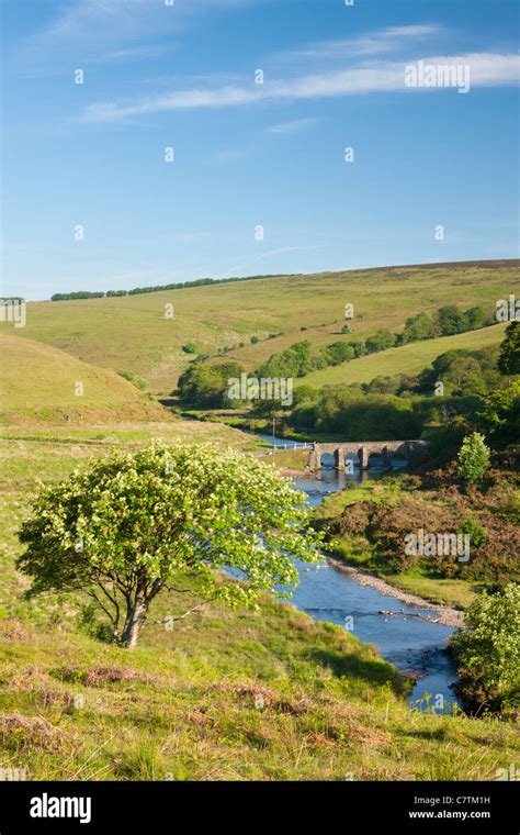 Landacre Bridge And The River Barle Exmoor Somerset Stock Photo Alamy