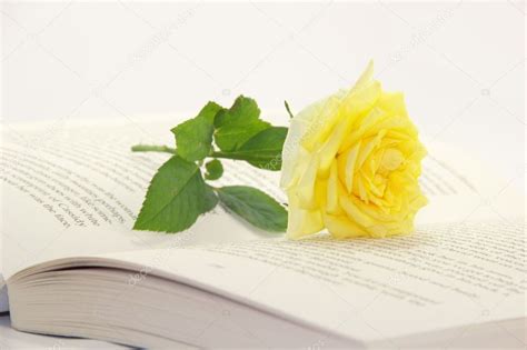 Nowadays, volume 4 by yuu watase. Open book and rose flower — Stock Photo © SailanaLNT #10724729
