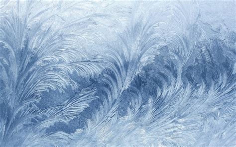 Download Wallpapers Ice Patterns On Window 4k Blue Ice Pattern Macro