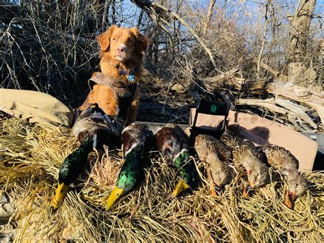 Red Sky Outdoors WI – Southern WI Waterfowl Guide Service