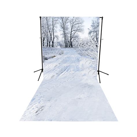 Winter Scene Floor Extended Printed Backdrop Backdrop Express