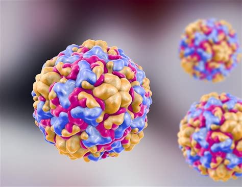 Nearly 60 years later, the search for a cure for the common cold virus is still ongoing. What is Rhinovirus?