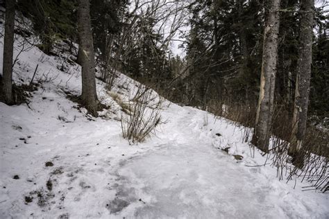 Hiking Path Through The Snow In The Forest At Cascade River State Park