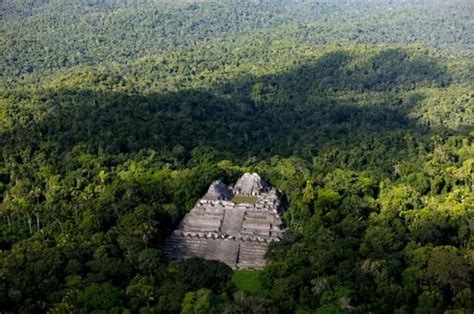 Une Cité Perdue Maya Vient Dêtre Découverte Dans La Jungle Mexicaine