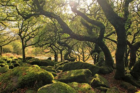 Dartmoor National Park Dartmoor National Park Beautiful Places In The