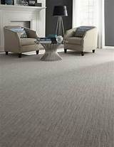Pictures of Grey Carpet