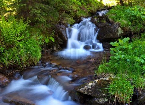 Mountain Stream In The Woods At Spring Stock Photo Colourbox