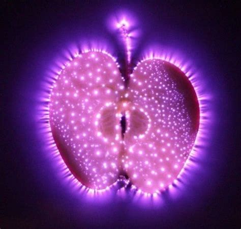 Kirlian Photograph Of An Apple Showing Its Life Force And Living