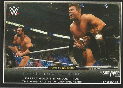 2015 Wwe Road To Wrestlemania Trading Cards Topps The Miz And Damien