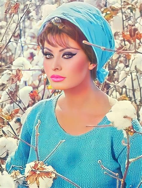 sofia loren vintage hollywood classic hollywood most beautiful women beautiful people divas