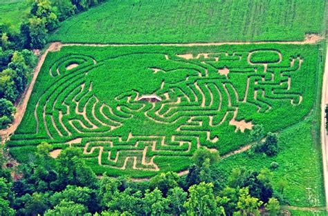 Mcpeeks Mighty Maze Coshocton All You Need To Know Before You Go
