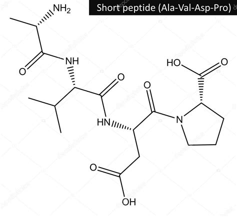Estructura Molecular Del Péptido Corto Fotografía De Stock © Raimund14 126491138 Depositphotos