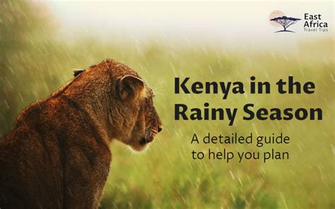 The Rainy Season In Kenya Detailed Guide For Tourists