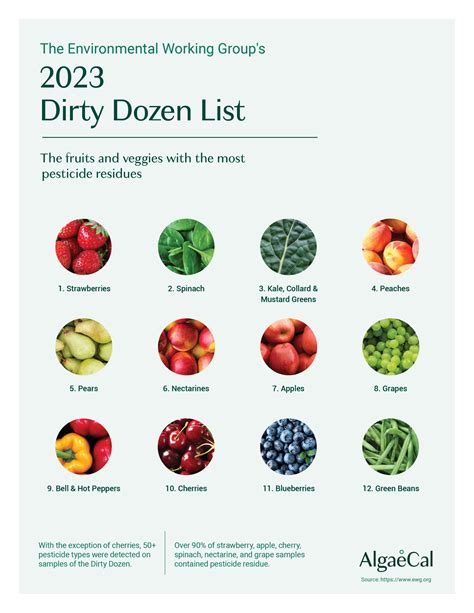2023 Dirty Dozen And Clean Fifteen Lists And The Impact On Bone Health