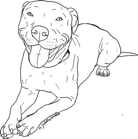 Red bull, fuschl am see, austria. Find hd free Pitbull Clipart Coloring Page Pencil And In ...