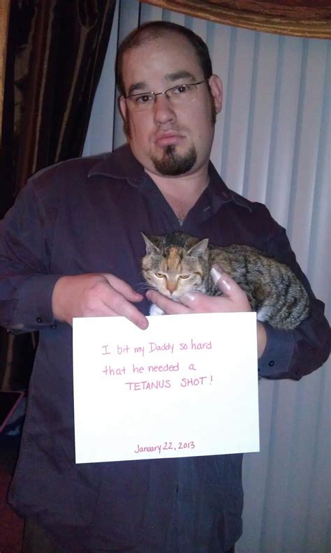 Cat Shaming Bad Cats Silly Cats Crazy Cats Cats And Kittens Cute