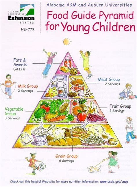 Pyramid Graphic Food Pyramid Kids Kids Nutrition Food