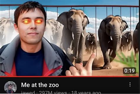What Do You Think About The New Me At The Zoo Thumbnail Fandom