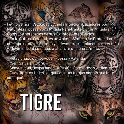 Tigre Significado Tatuaje Manga Tattoo I Tattoo Totem Tattoo Com