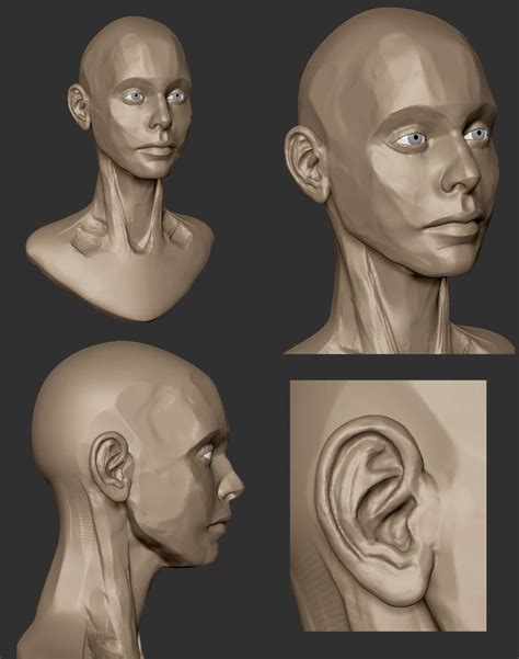 Female Head Sculpture Zbrush Female Head Zbrush Sculpture