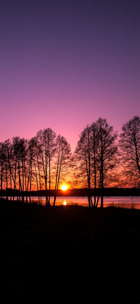 Rusutjärvi Wallpaper 4k Finland Landscape Sunset Purple Sky Nature