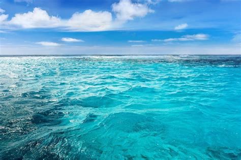 Deniz ve okyanuslar arasındaki bir diğer fark ise denizlerde meydana gelen hareketlenmelerin çok daha küçük olduğudur. Okyanus ve deniz suları neden tuzludur?