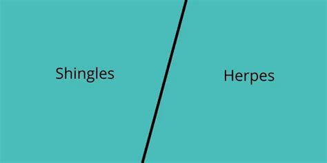 Difference Between Shingles And Herpes