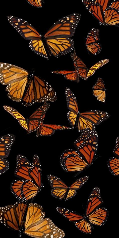 Monarch Butterflies Butterfly Painting Black Background Painting