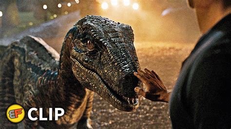 Goodbye To Blue Ending Scene Jurassic World Fallen Kingdom 2018 Movie Clip Hd 4k Youtube
