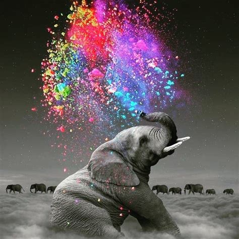 Imagenes De Elefantes Coloridos